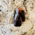 Agate de feu